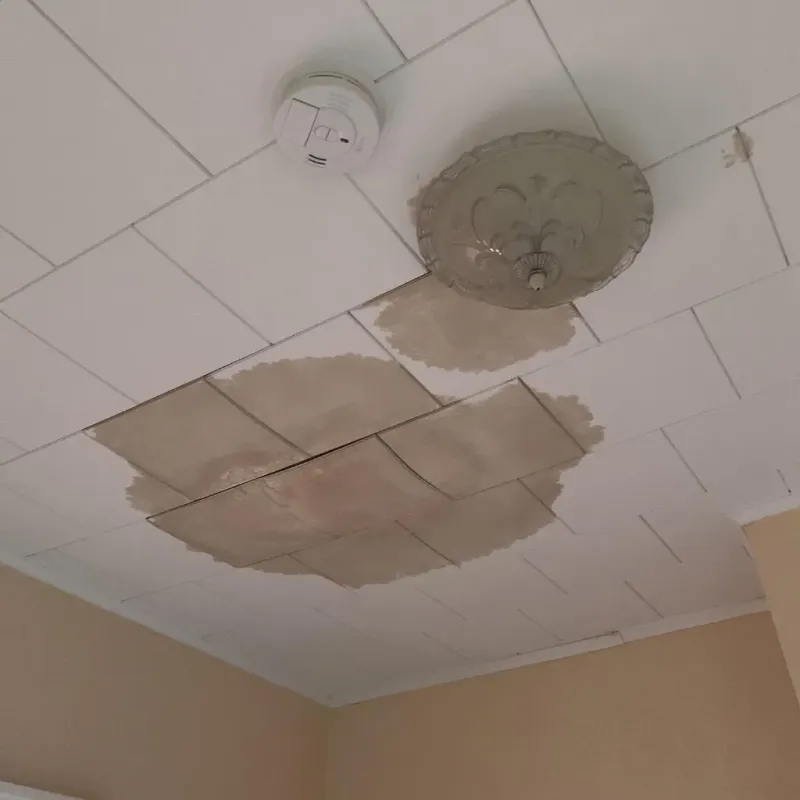 Ceiling Water Damage Repair in Martin, TN