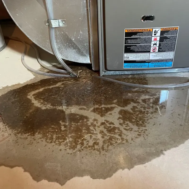 Pipe Burst and Leak Restoration in Martin, TN