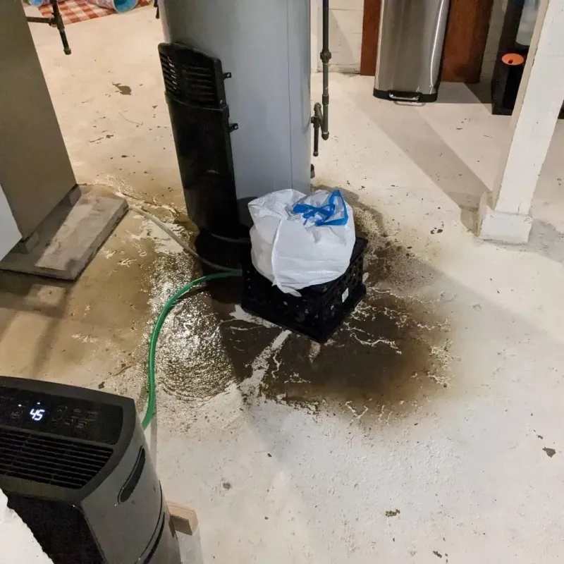 Sewage Backup Cleanup Service in Martin, TN